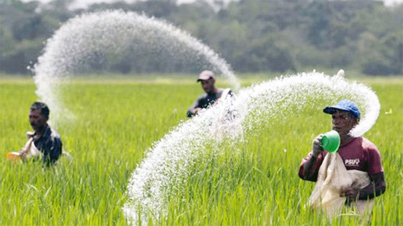 এক লাখ ৩০ হাজার টন সার কিনবে সরকার